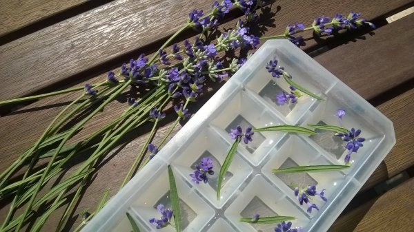 Levendulás limonádé (3)