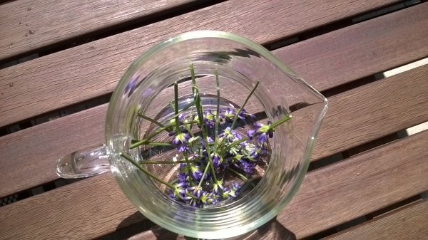 Levendulás limonádé (6)