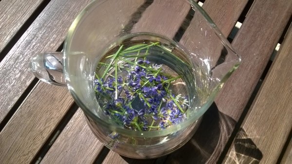 Levendulás limonádé (7)