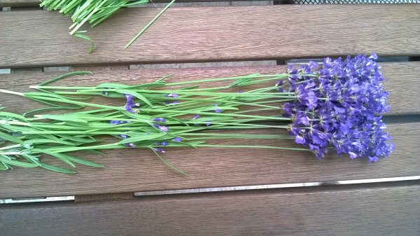 levendula_illatosító (1)