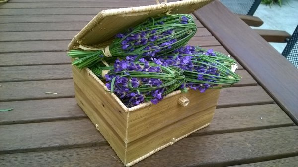 levendula_illatosító (10)