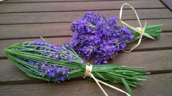levendula_illatosító (11)