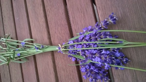 levendula_illatosító (3)