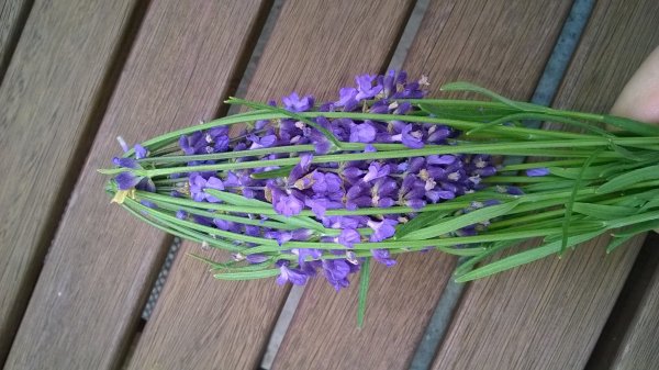 levendula_illatosító (4)