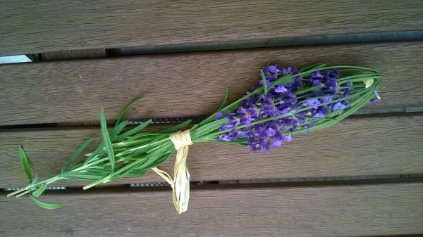 levendula_illatosító (5)