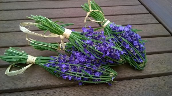 levendula_illatosító (9)