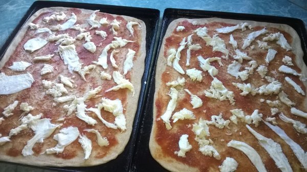 Pizza (7)