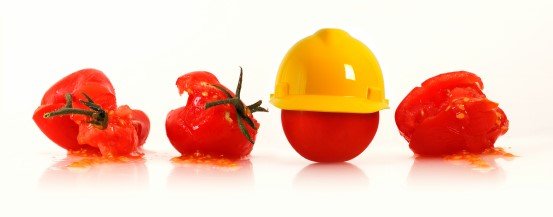 élelmiszerbiztonság